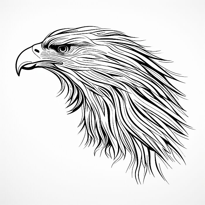 Continuous Line vectorial drawing of eagle ,minimalist line art, undulating lines, white background, black line --v 5.2