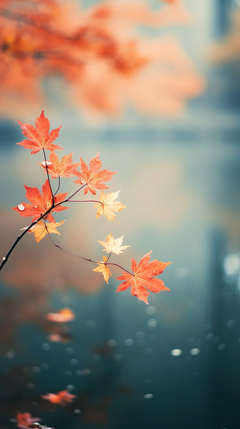 Autumn scenery, maple leaves, vistas, photography style, minimalist composition, depth of field photography, 8K --ar 9:16