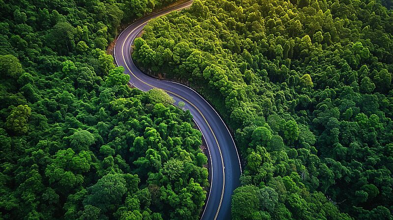 Drone photo of a meandering mountain road in the forest. --style raw --ar 16:9 --v 6.0